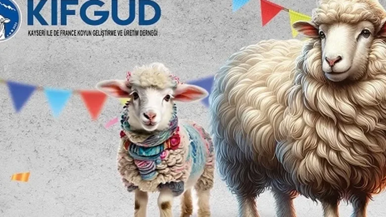 Kayseri Talas’ta France ırkına özel festival