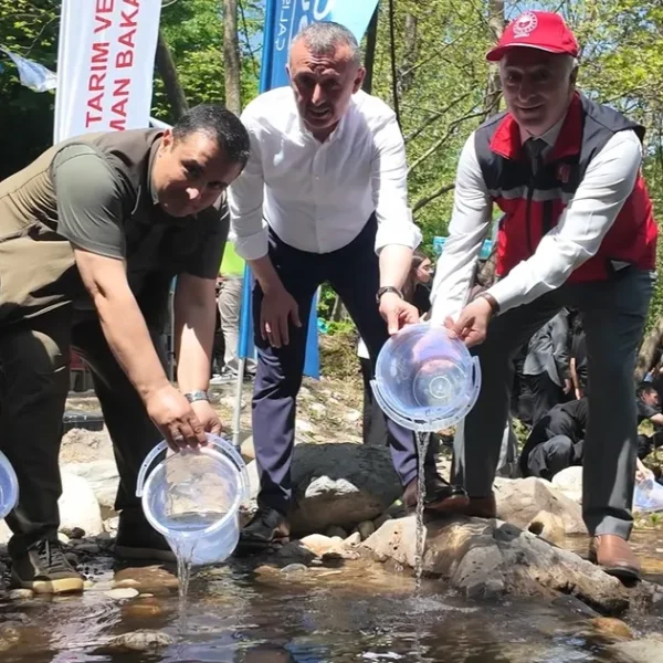 Kocaeli Kirazdere’ye 2 yılda 16 bin alabalık salındı