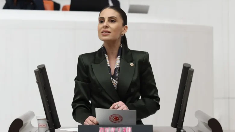 Milletvekili Özcan’dan sokak hayvanları için Bakan Yumaklı’ya önerge
