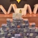 Van ve Şanlıurfa’da zehir tacirlerine operasyon! 311,5 kg uyuşturucu ele geçirildi